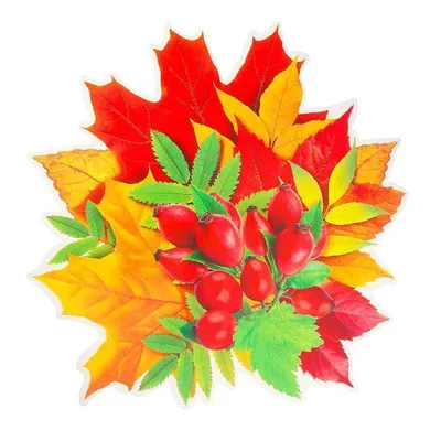 Фото осенних листьев для оформления - выберите размер изображения и формат для скачивания