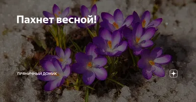 Фото весны: качественные изображения для вашего проекта