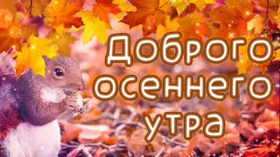 Фотографии, запечатлевшие уникальность осеннего утра