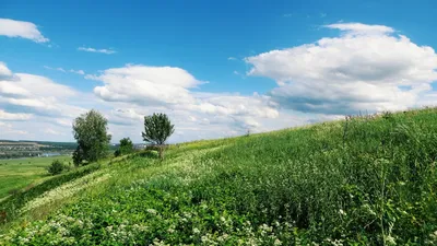 Фото природы весной: выберите размер и формат