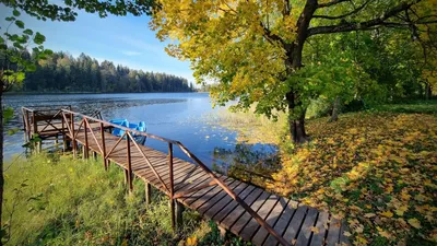 Фотографии природы весной и летом - встреча с природой