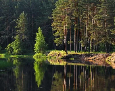 Романтика природы: удивительные фотографии, передающие неповторимую атмосферу любви