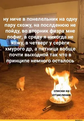 Забавные фото, чтобы поднять настроение в четверг!