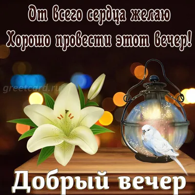 Вечерние откровения: Природа в уединении