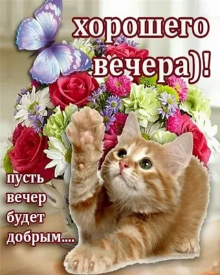 Вечерние мгновения: Природа в умиротворении