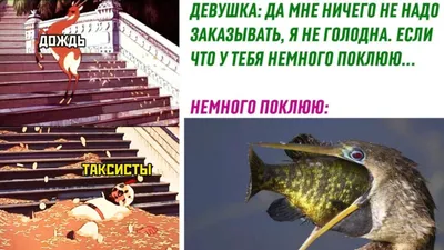 Фотографии смешных ситуаций под дождем