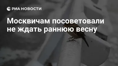 Фото холодной весны: скачать в хорошем качестве