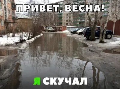 Ледяные узоры на фотографиях весенней природы