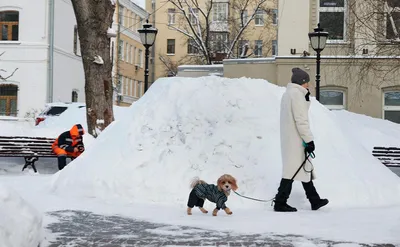 Ледяные узоры на весенних фотографиях