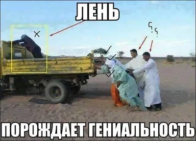 Скачать бесплатно смешные картинки в формате JPG