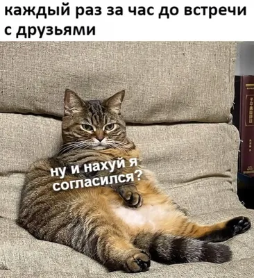 Новые фото для поднятия настроения: скачать JPG, PNG, WebP