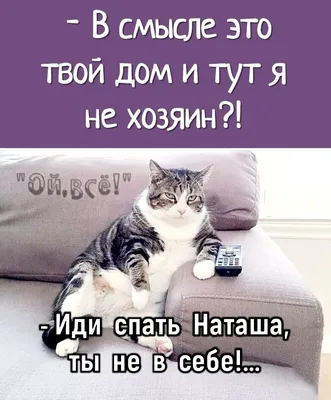 Забавные фотографии Наташи