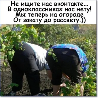 Смешные фотографии огорода: выберите формат для скачивания - JPG, PNG, WebP