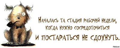 Работа в субботу: живые снимки трудовой деятельности