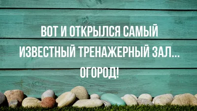 Фотки смешной субботы: скачать бесплатно в формате WebP