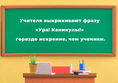 Смешные фото для учебы: выберите формат - PNG, JPG