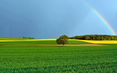 Весенние фотографии на рабочий стол: яркие краски и вдохновение