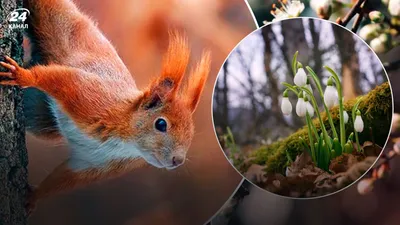 Фотографии весеннего озера в HD качестве