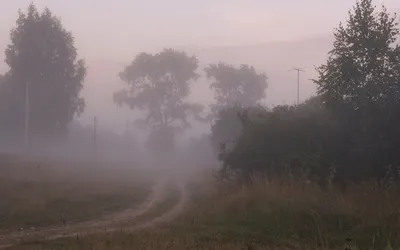 Раннее утро: удивительные виды природы