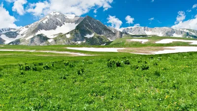 Картинки ранней весны на рабочий стол - скачать бесплатно в хорошем качестве