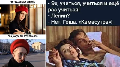 Картинки смешные - скачать бесплатно в хорошем качестве