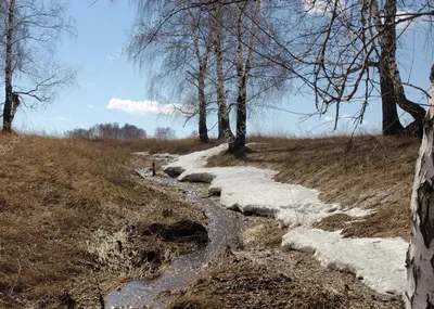 Весенние ручейки: гармония цветов и звуков