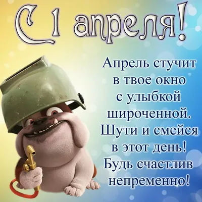 Смешные фото с 1 апреля: скачать в формате JPG, PNG, WebP