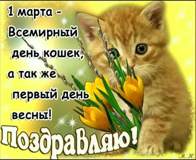 Улыбка природы: фото с 1 марта