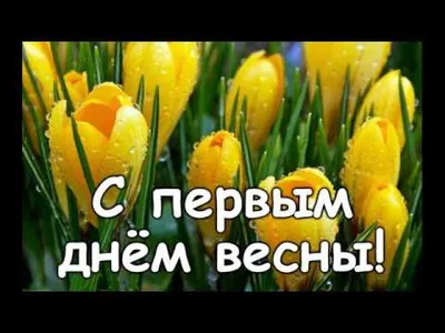 Первые лучи солнца: фото с 1 марта