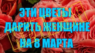 Фото 8 марта для сестры: в формате webp