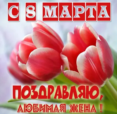 Восхитительные моменты на 8 марта: фото для жены