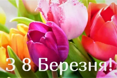 Webp фото для учителя к 8 марта