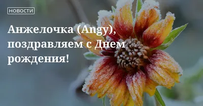 Незабываемые моменты на странице Картинки С Днем Рождения Анжелочка!