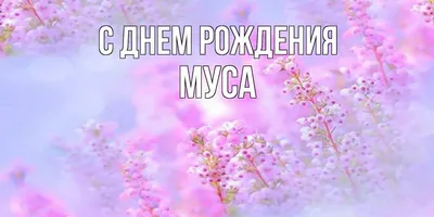 Картинки с Днем Рождения Муса - выберите формат для скачивания: JPG, PNG, WebP