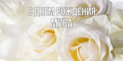 Оригинальные фотографии для поздравления Мусы с Днем Рождения