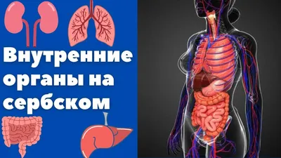 Оригинальные изображения с пожеланиями на День Рождения на сербском