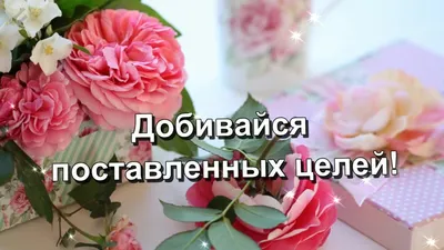 Поздравления с днем рождения племяннице - волшебные мгновения