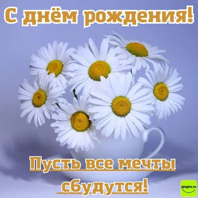 Картинки с Днем Рождения полевых цветов: скачать бесплатно в хорошем качестве