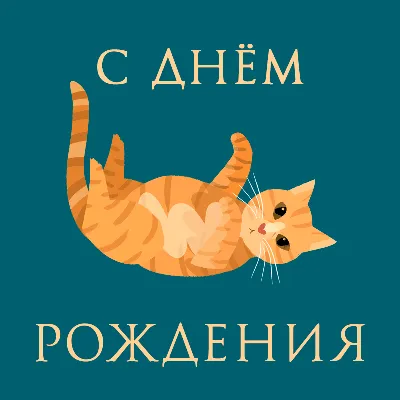 Картинки с котами на День Рождения: скачать бесплатно и в хорошем качестве