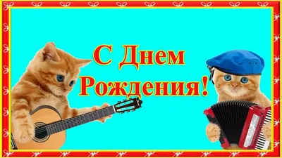 Котики желают счастья! Скачайте бесплатно в HD, Full HD, 4K