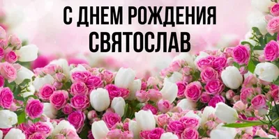 Веселые и радостные моменты С Днем Рождения Святослава.