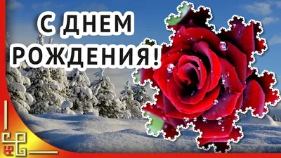 Скачать бесплатно фото с поздравлениями на День Рождения