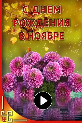 Картинки с поздравлением С Днем Рождения в ноябре