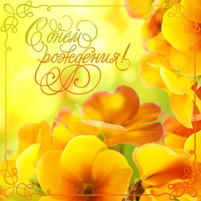 Фото с Днем Рождения Желтые Тюльпаны - красивые и яркие изображения