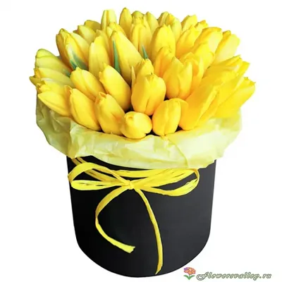 Картинки с Днем Рождения Желтые Тюльпаны - новые фотографии для скачивания