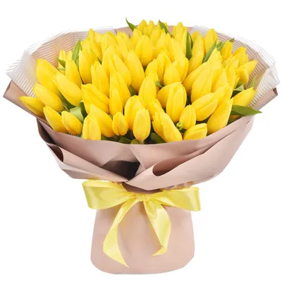 Фото с Днем Рождения Желтые Тюльпаны - новые изображения для поздравлений