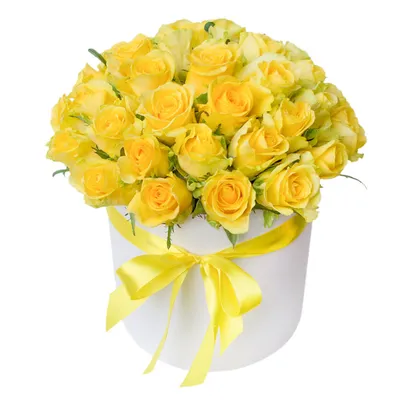Картинки с Днем Рождения Желтые Тюльпаны - скачать бесплатно в формате JPG, PNG, WebP