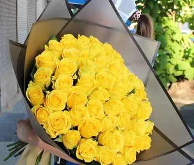 Фото с Днем Рождения Желтые Тюльпаны - выберите размер изображения для скачивания