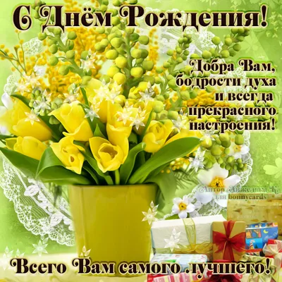 Картинки с Днем Рождения Желтые Тюльпаны - скачать в хорошем качестве