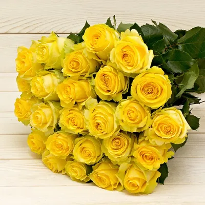 Фото с Днем Рождения Желтые Тюльпаны - красивые фотографии для скачивания